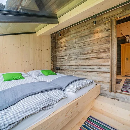 Raneburg 4 Dağ evi Matrei in Osttirol